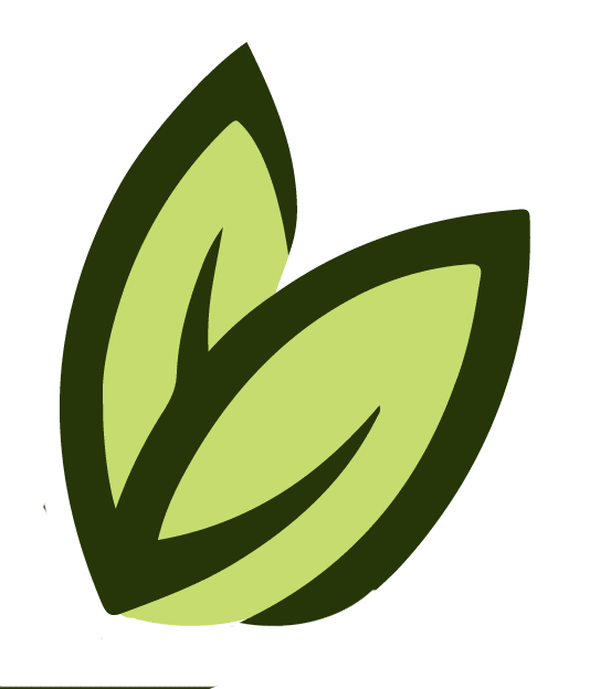 pest control pest control