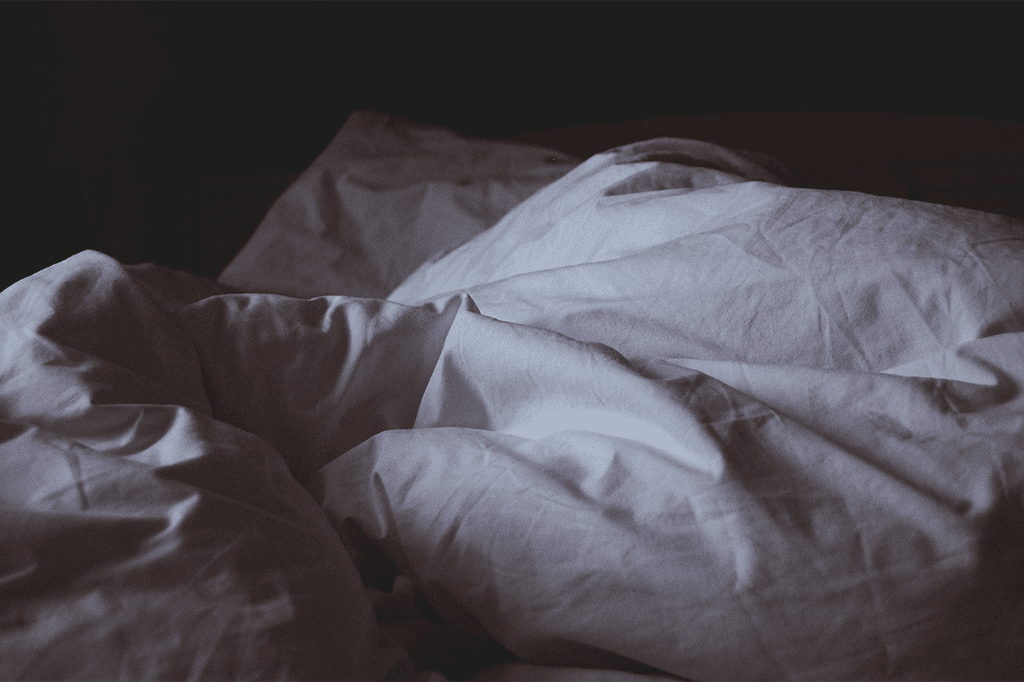 bedbugs bed bugs